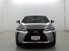 UX300e バージョンL