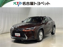 UX250H バージョンC