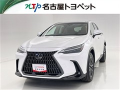 NX250 VER-L