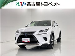NX300 Iパッケージ