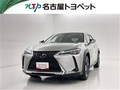 UX250h VER-L