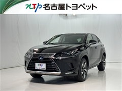 NX300h I-PKG