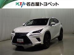 NX300 バージョンL