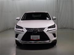 NX300 バージョンL