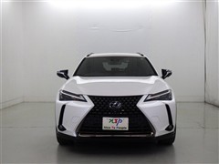 UX250h アーバンエレガンス