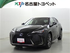 UX250h F SPORT