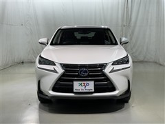 NX300h Iパッケージ