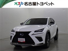 NX300 FSPORT