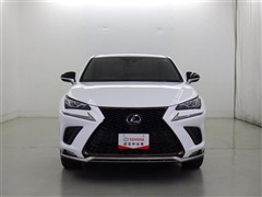 NX300 FSPORT