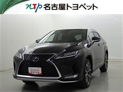 RX300 バージョンL