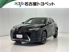 UX250H VER-C