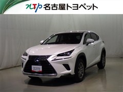 NX300h Iパッケージ