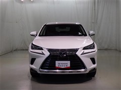 NX300h Iパッケージ