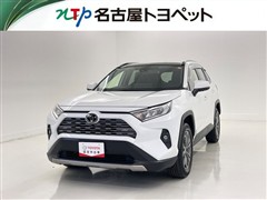 RAV4 G