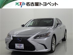 ES300H VER-L