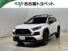 RAV4 アドベンチャー オフロート