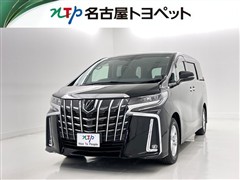 アルファード Sサイドリフトアップ