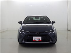 カローラセダン WxB