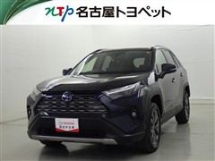 RAV4 HV G
