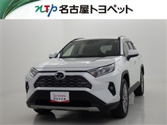 RAV4 G Zパッケージ