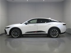 クラウン CO Gアドバ レザー