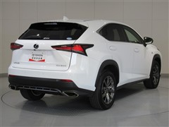 NX300F スポーツ