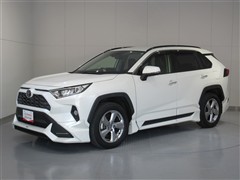 RAV4 G