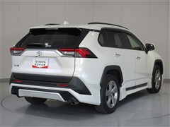 RAV4 G