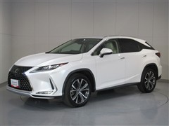 RX300 バージョンL