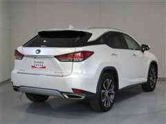 RX300 バージョンL