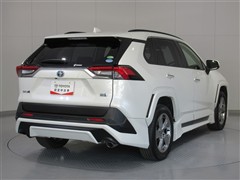 RAV4 HV G