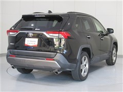 RAV4 G