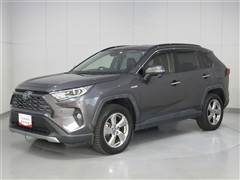 RAV4 HV G