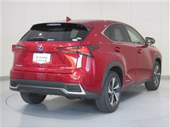 NX300h バージョンL