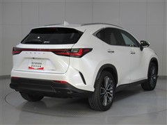 NX350h バージョンL