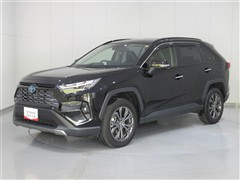 RAV4 HV G