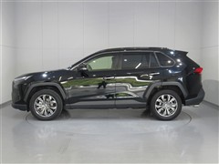 RAV4 HV G