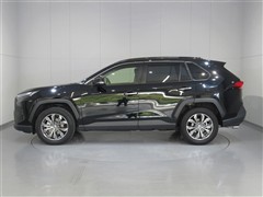 RAV4 HV G