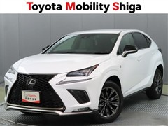 NX300 クール&ブライト