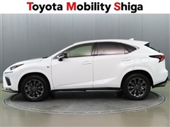 NX300 クール&ブライト