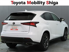 NX300 クール&ブライト