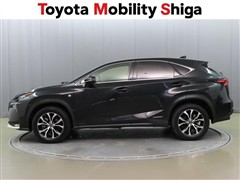 NX300h Fスポーツ