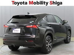 NX300h Fスポーツ