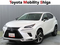 NX300h スパイス&シック