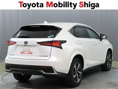 NX300h スパイス&シック