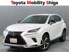 NX300h スパイス&シック