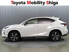 NX300h スパイス&シック