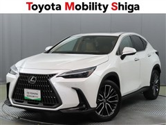 NX250 バージョンL