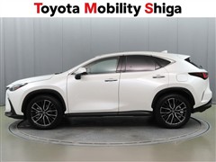 NX250 バージョンL