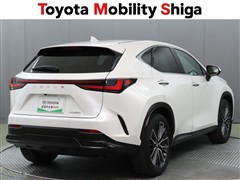 NX250 バージョンL